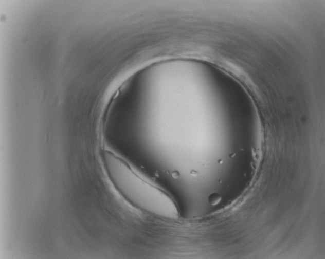 X0000063521520200601271823