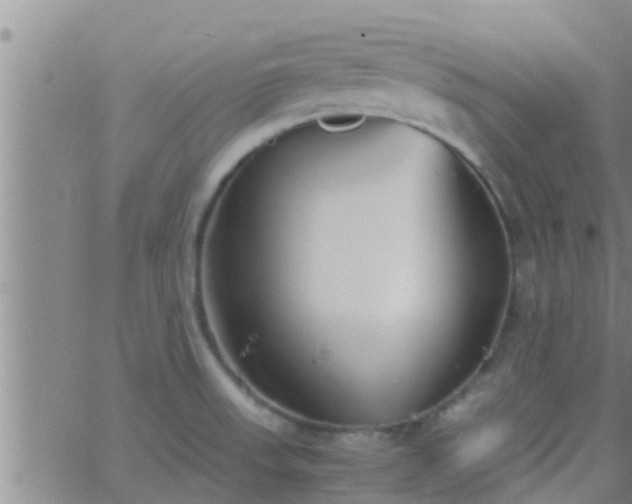 X0000063521523200601271823