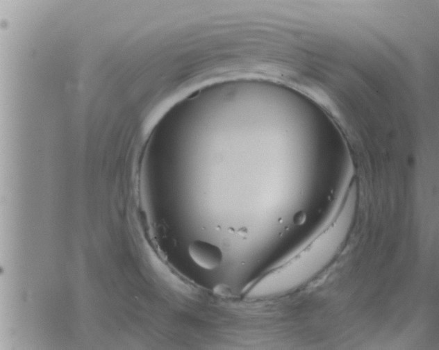 X0000063521524200601271823