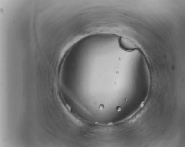 X0000063521525200601271823