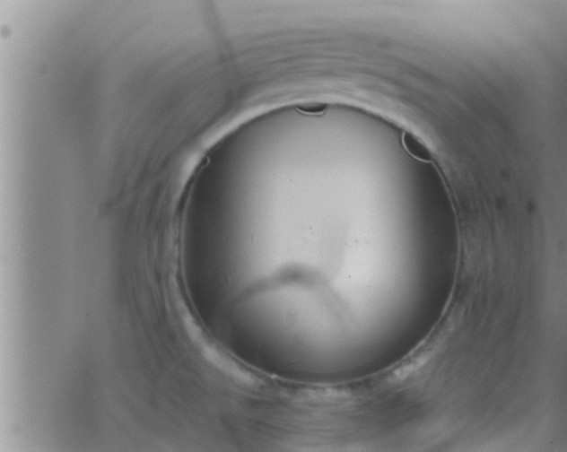 X0000063521526200601271823