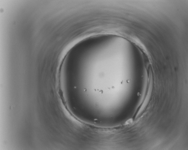 X0000063521528200601271823