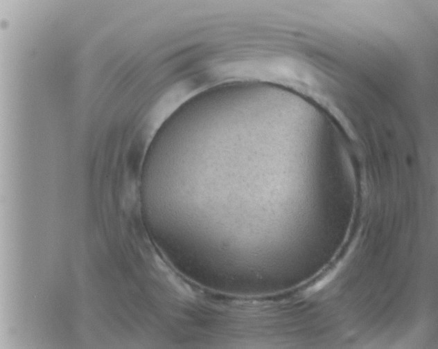 X0000063521529200601271823