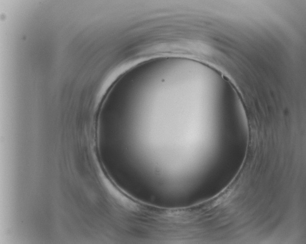 X0000063521531200601271823