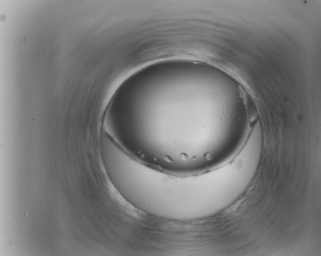 X0000063521532200601271823