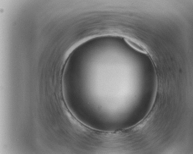 X0000063521534200601271823