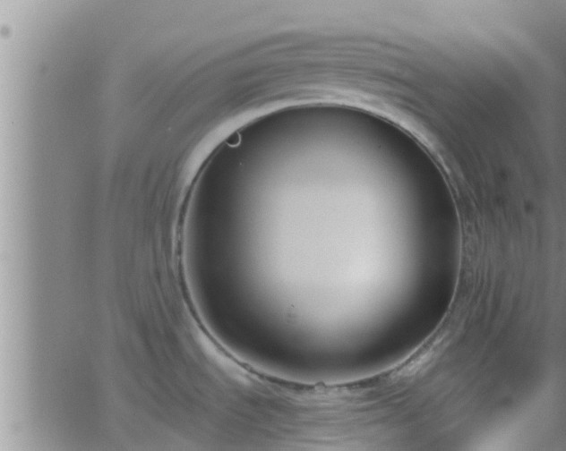 X0000063521535200601271823