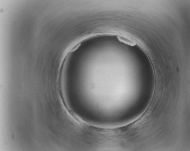 X0000063521536200601271823