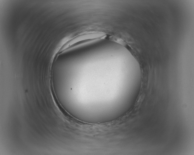 X0000063520003200602032122