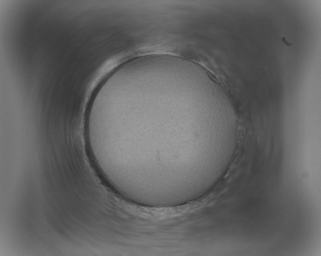 X0000063520006200602032122