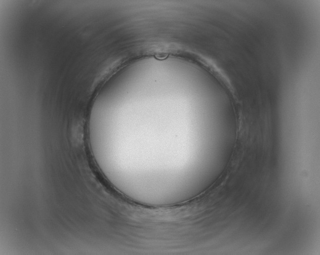 X0000063520010200602032122