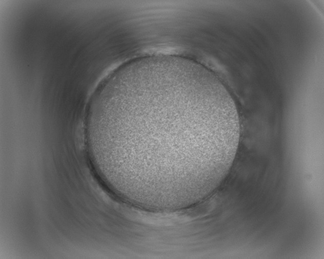 X0000063520012200602032122