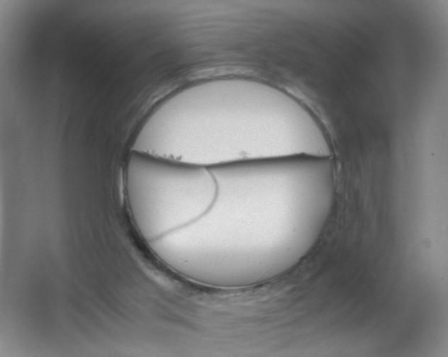 X0000063520013200602032122