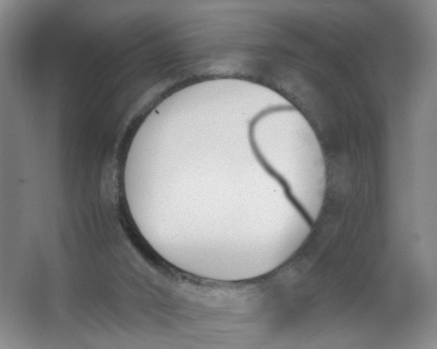 X0000063520016200602032122