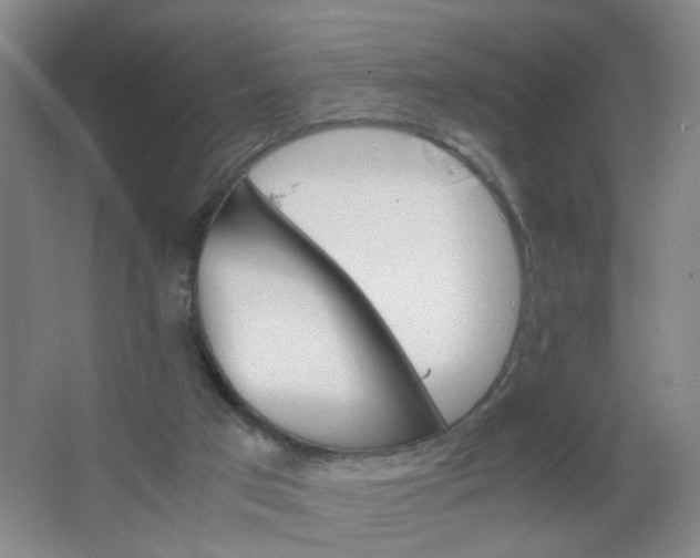 X0000063520017200602032122