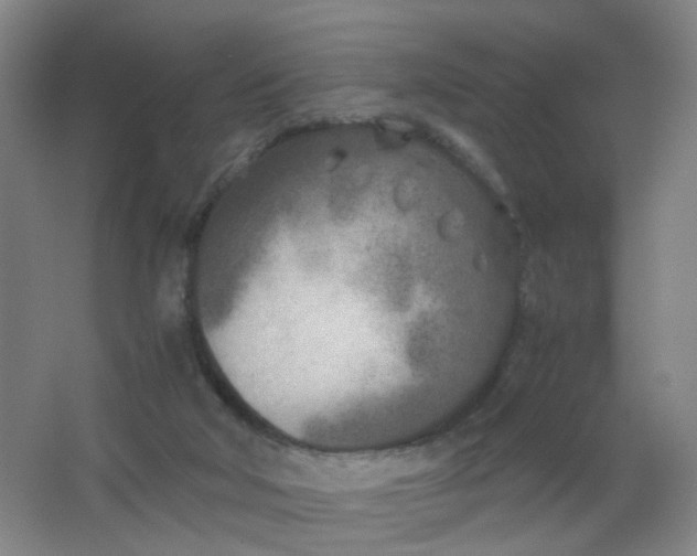 X0000063520018200602032122