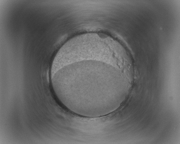 X0000063520019200602032122