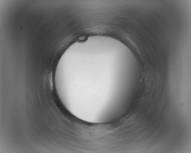 X0000063520020200602032122