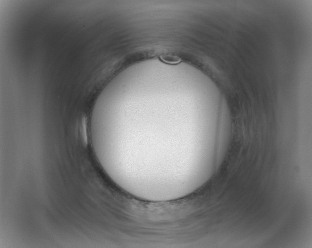 X0000063520022200602032122