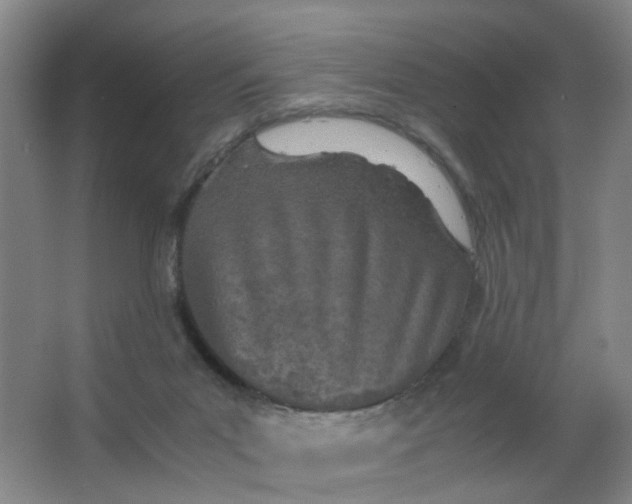 X0000063520023200602032121