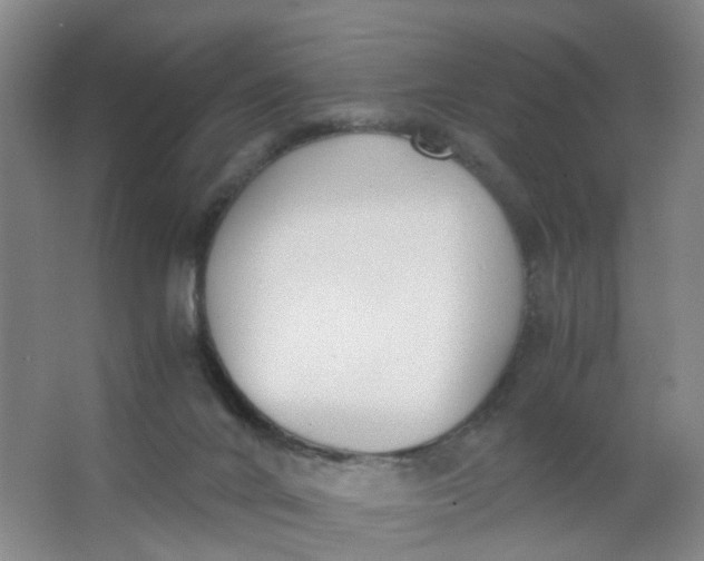 X0000063520024200602032121