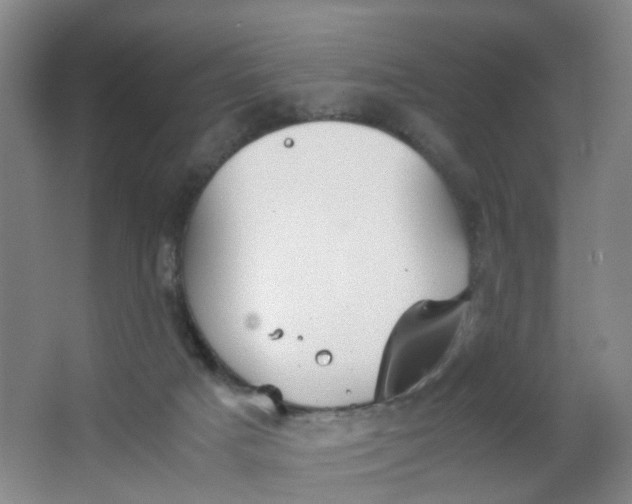 X0000063520025200602032121