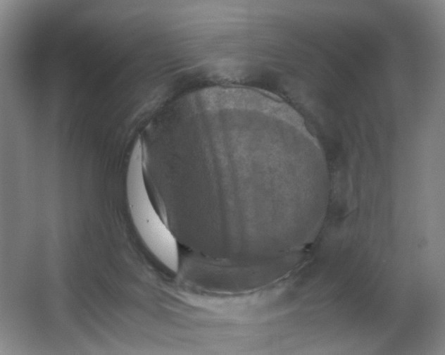 X0000063520027200602032121