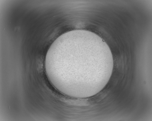 X0000063520032200602032121