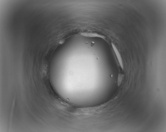 X0000063520033200602032121