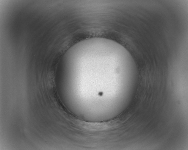 X0000063520034200602032121