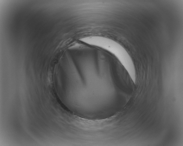 X0000063520035200602032121