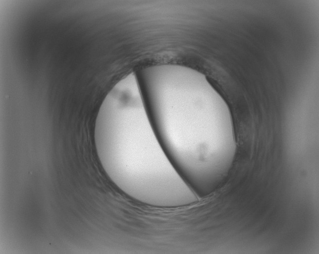 X0000063520037200602032121