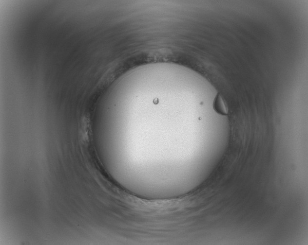 X0000063520038200602032121