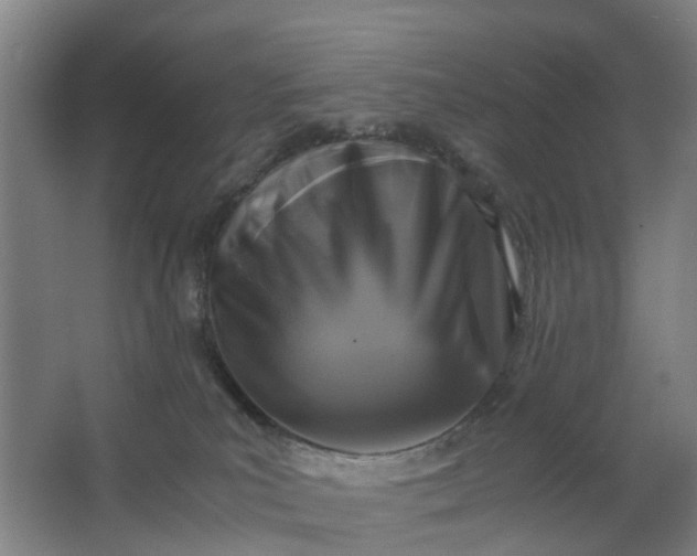 X0000063520039200602032121