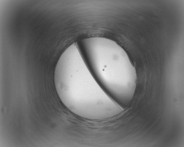 X0000063520041200602032121