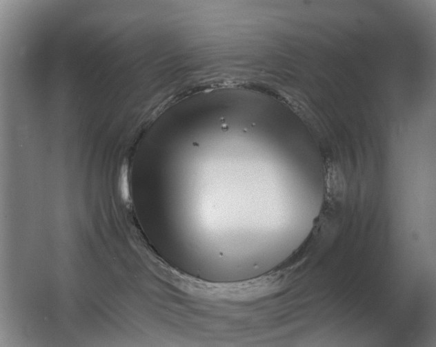 X0000063520046200602032121