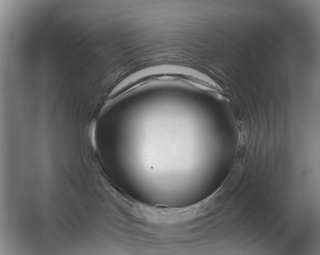 X0000063520047200602032121