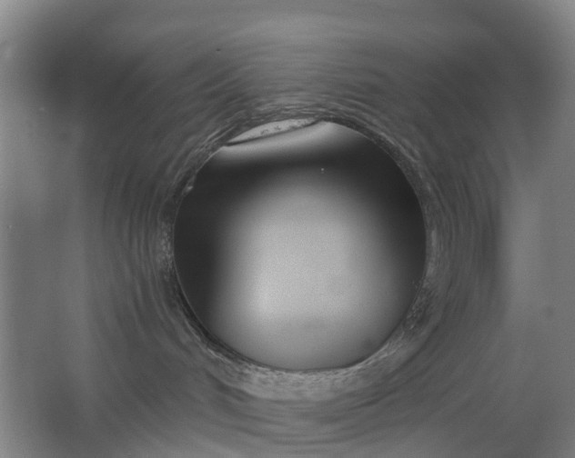 X0000063520048200602032121