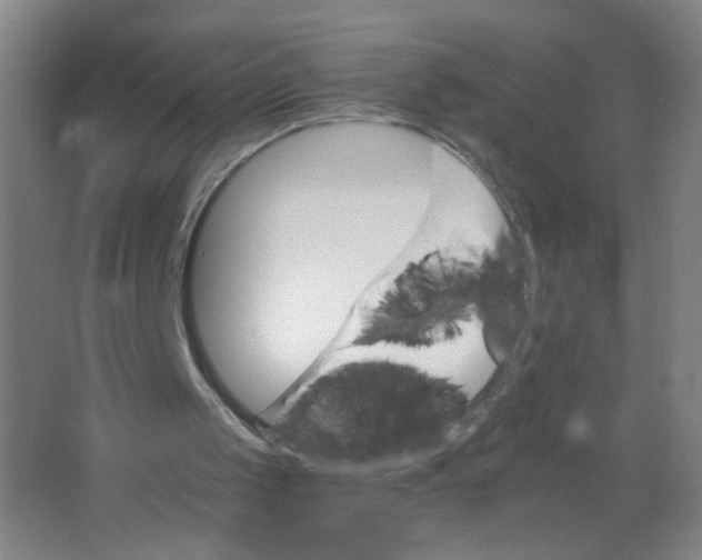 X0000063520049200602032120