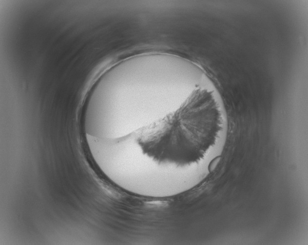 X0000063520053200602032120