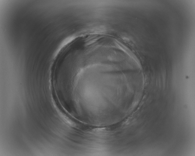 X0000063520054200602032120