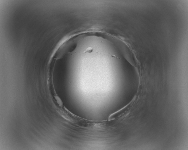 X0000063520056200602032120