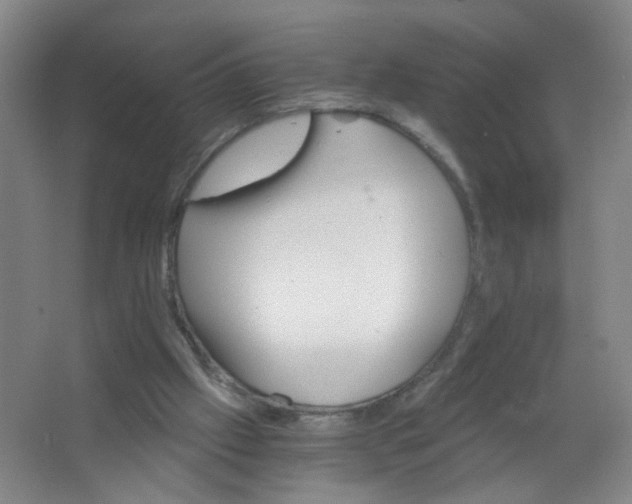 X0000063520057200602032120