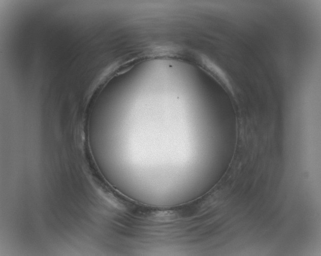 X0000063520059200602032120