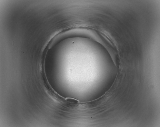 X0000063520060200602032120