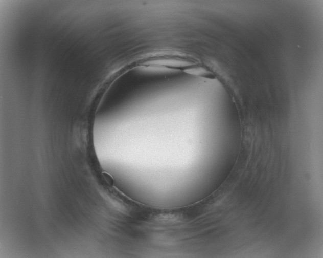 X0000063520063200602032120