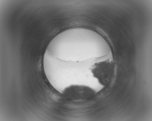 X0000063520065200602032121