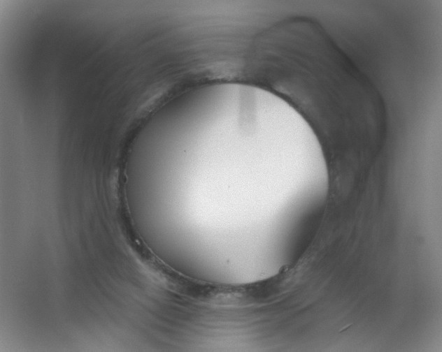 X0000063520066200602032121