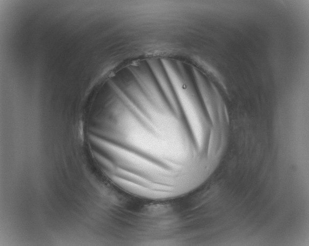 X0000063520067200602032121