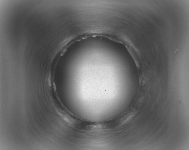 X0000063520068200602032121